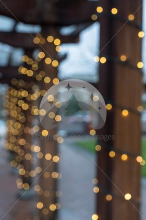 Christmas Lights in Fairhaven - Northwest Stock Images