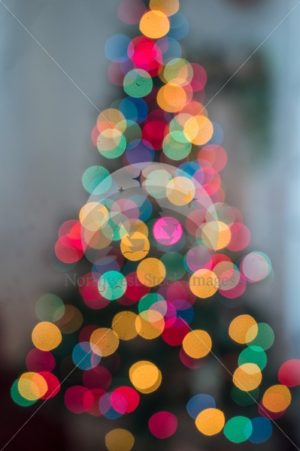 Christmas Tree Bokeh - Northwest Stock Images