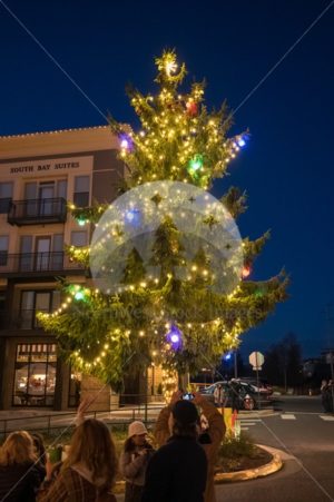 Fairhaven Christmas Tree - Northwest Stock Images