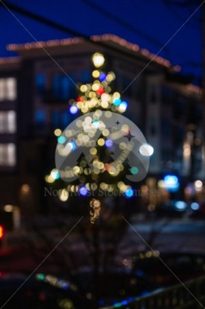 Fairhaven Christmas Tree Bokeh - Northwest Stock Images