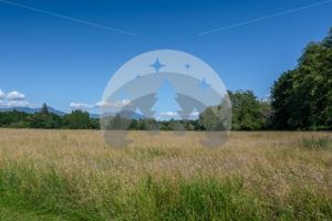 Field at Rasar State Park (49) - Northwest Stock Images