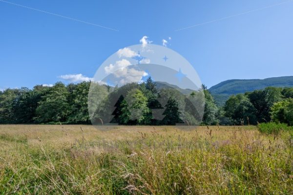 Field at Rasar State Park - Northwest Stock Images