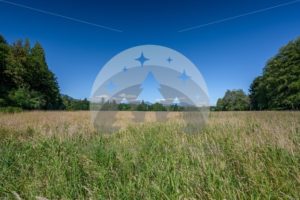 Field at Rasar State Park - Northwest Stock Images