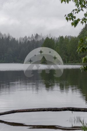 Foggy Lake Padden 51 - Northwest Stock Images