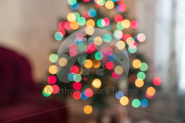 Christmas Tree Bokeh - Northwest Stock Images