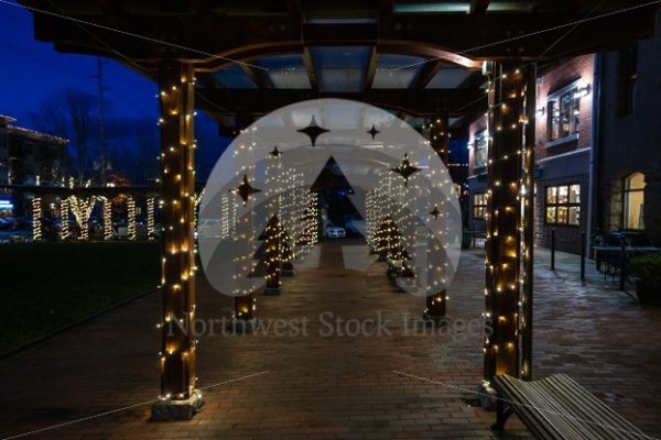 Fairhaven Village Green Lights at Night (103) - Northwest Stock Images