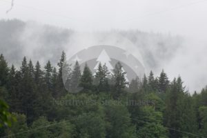 Foggy Lake Padden - Northwest Stock Images