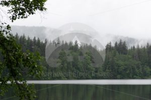 Foggy Lake Padden - Northwest Stock Images