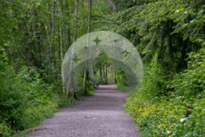 Lake Padden Trail 7 - Northwest Stock Images