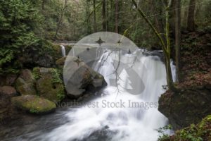 Whatcom Falls - Northwest Stock Images