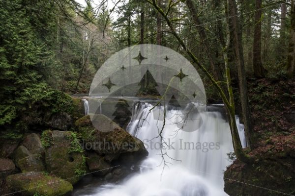 Whatcom Falls - Northwest Stock Images