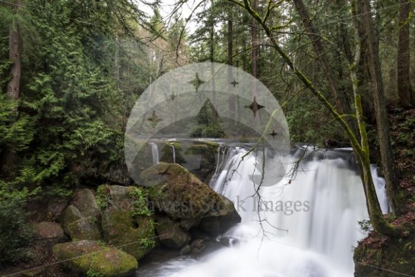 Whatcom Falls - Northwest Stock Images