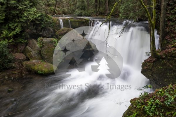 Whatcom Falls - Northwest Stock Images