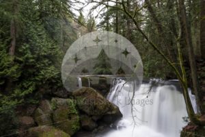 Whatcom Falls - Northwest Stock Images