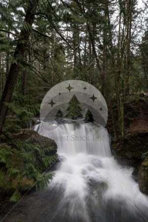 Whatcom Falls - Northwest Stock Images