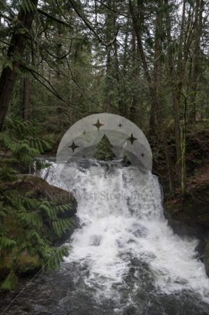 Whatcom Falls - Northwest Stock Images