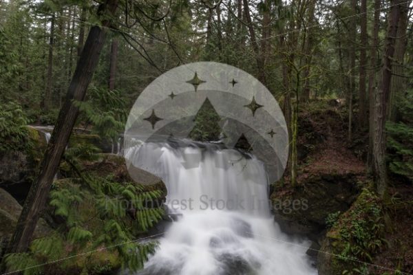 Whatcom Falls - Northwest Stock Images