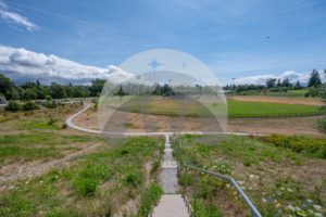 Squalicum Creek Park - Northwest Stock Images